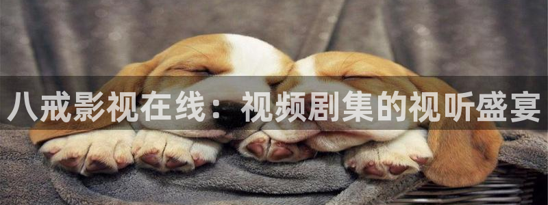 激情歐美影院在線觀看：八戒影視在線：視頻劇集的視聽盛宴