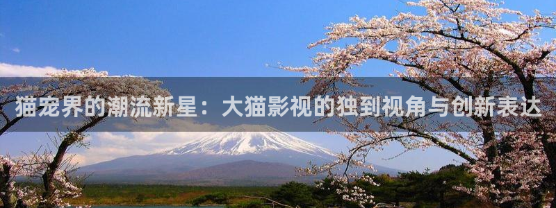 柏芝歐美影院：貓寵界的潮流新星：大貓影視的獨到視角與創新表達